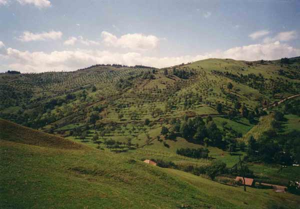 Buzau (Rumänien): Karpatenvorland