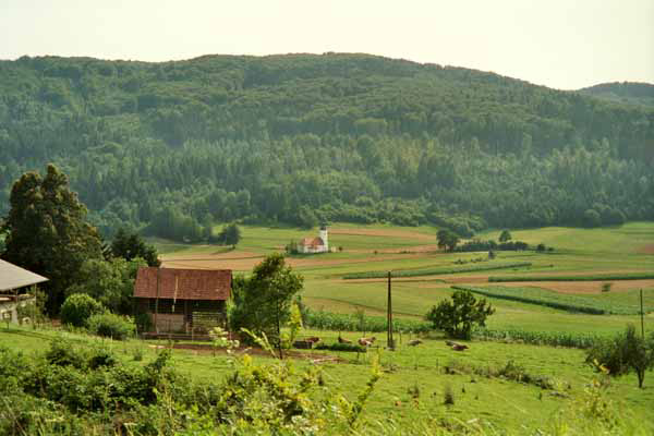 Landschaft bei Luce mit Toplar (Slowenien, Slovenija, Slovenia, Slovenie)