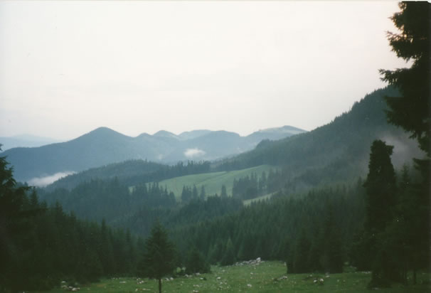 Gebirgslandschaft in den Karpaten bei der Cabana Curmatura (Piatra Craiului, Rum�nien)