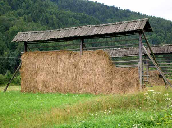 Kozolec (Gestell zum trocknen von Heu) bei Gozd-Martuljek nahe Kranjska Gora (Slowenien, Slovenija, Slovenia, Slovenie)